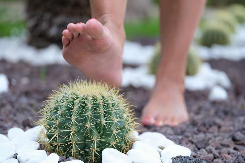 difference between a corn and a callus