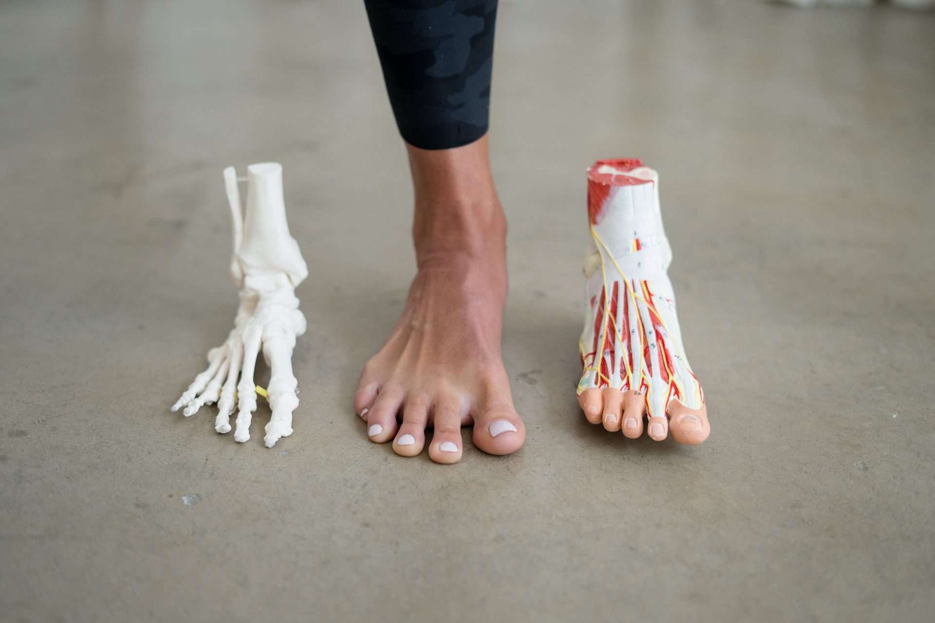 Foot